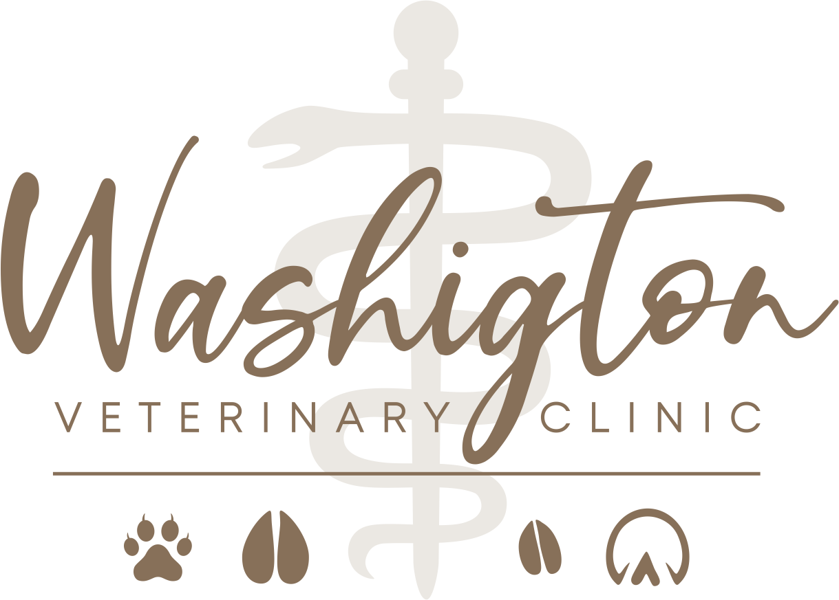 Washington Veterinary Clinic
