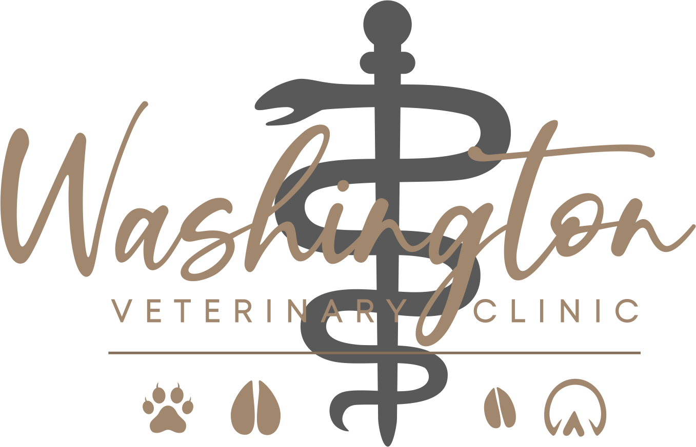 Washington Veterinary Clinic